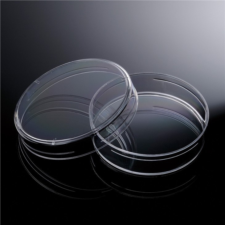 90mm Petri Dishes Plastic Sterile Wholesale Laboratory Plastic Cell Culture Dish